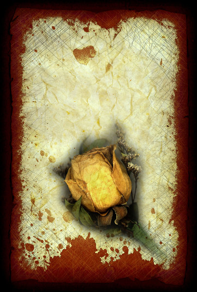 Dead Rose 1: Art made from vintage rose.Please visit my stockxpert gallery:http://www.stockxpert.com ..