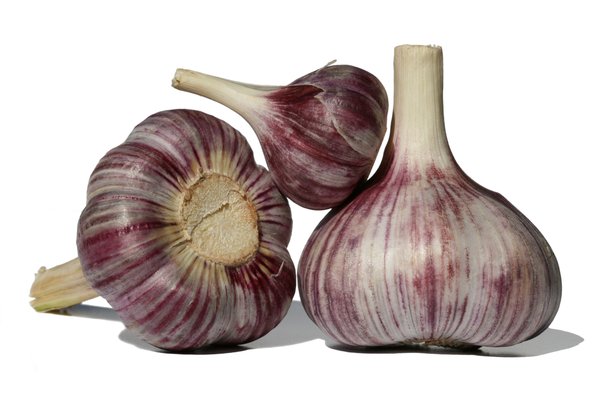 Fresh Garlic 1: No description