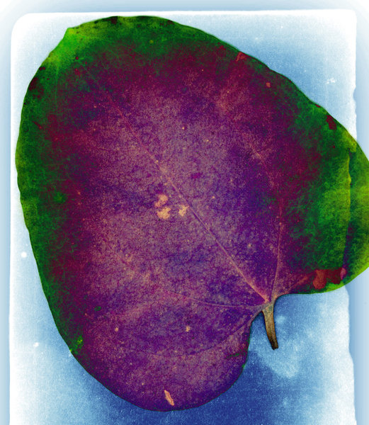 Vintage Leaf 1