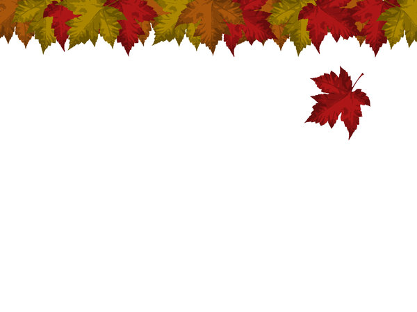 Falling Leaf Card: Card with falling maple leaf motif.  White background, lots of copyspace.