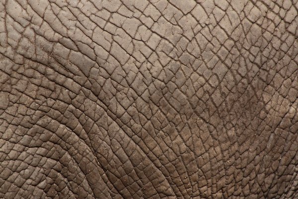 Elephant Skin: Looking forward to feedback! Please credit if possible or drop me a line via http://www.jule.se