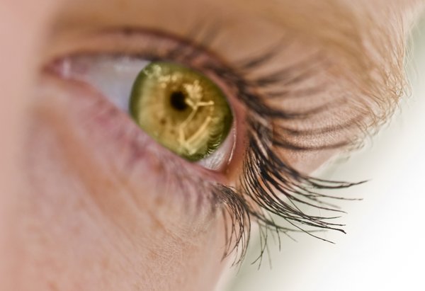 Eye: Beautiful female eye close-up