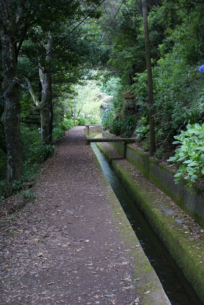 Canal Levadas in Madeira 1