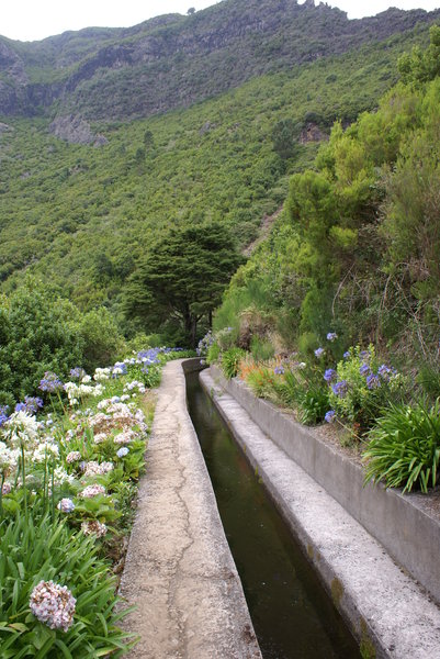 Canal Levadas in Madeira 4