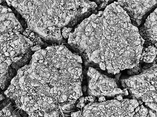 Background element: Cracked earth http://dezignia.com