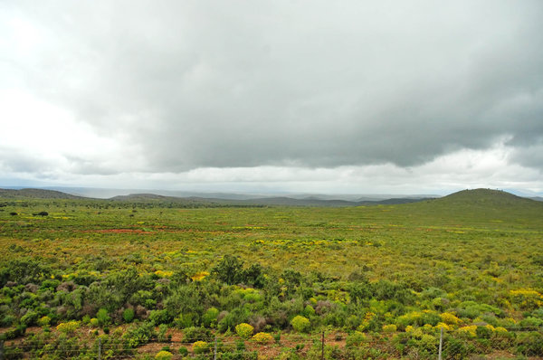 Karoo landscape