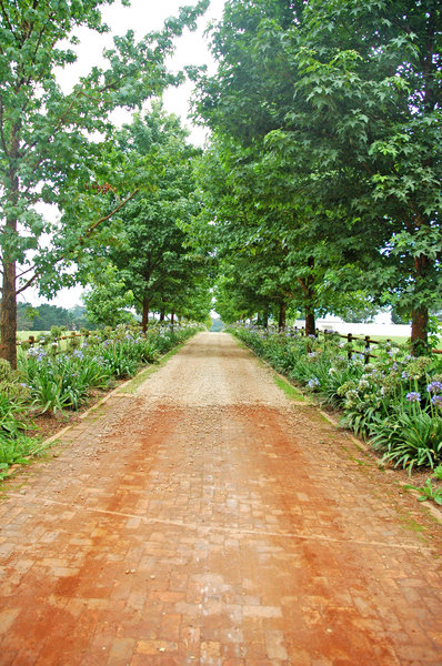 Farm Lane 2: A typical tree-lined lane in the Garden Route.NB: Credit to read 