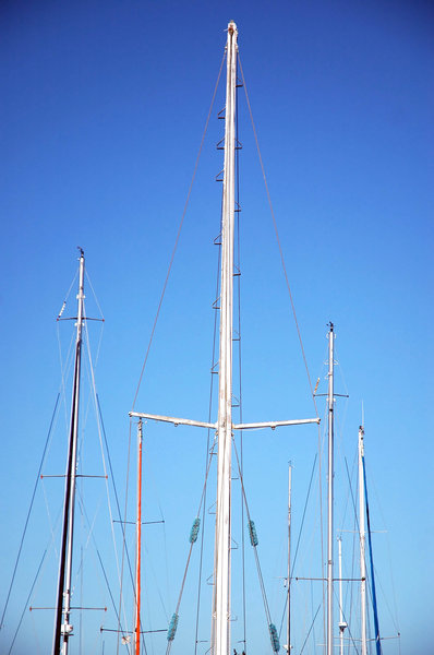 Masts 1