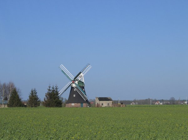 windmill on a field