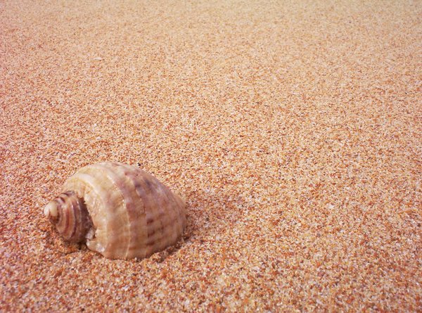 Areia e Shell: 