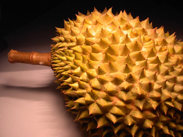 Durian 01