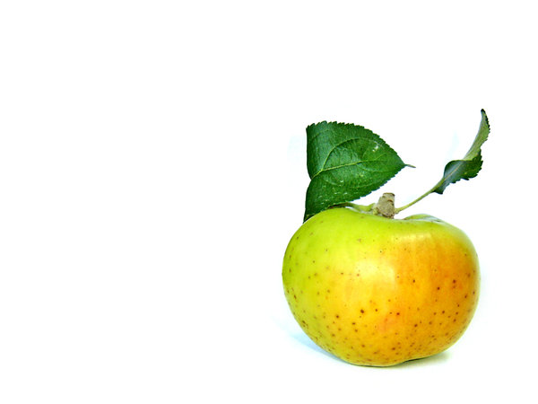 apple 1: apple
