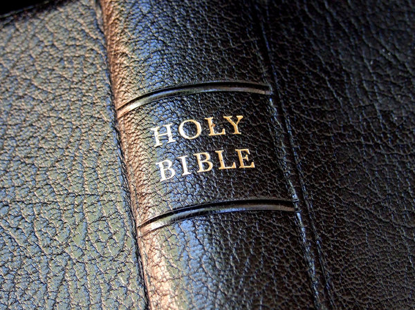 Black Bible spine: 