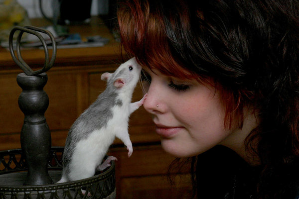 My daughter and her rats