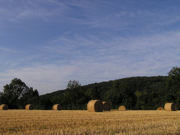 Agricultural art