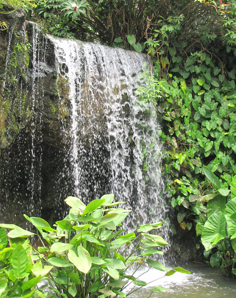 over the edge: waterfall in jungle garden setting