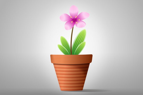 Flowers in Pot: Colorful flowers in a pot on the gray-white background