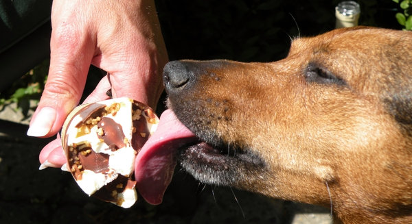 Pepita ama sorvete: 