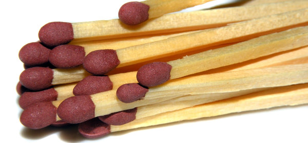 Brown headed matches 2