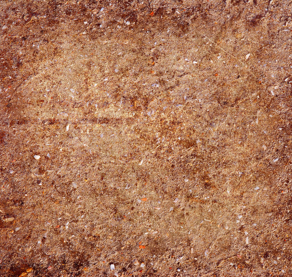 Dirt Texture 5