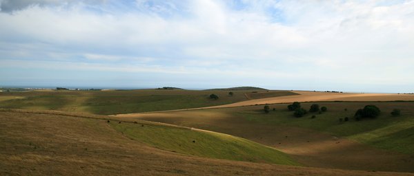 South Downs evening