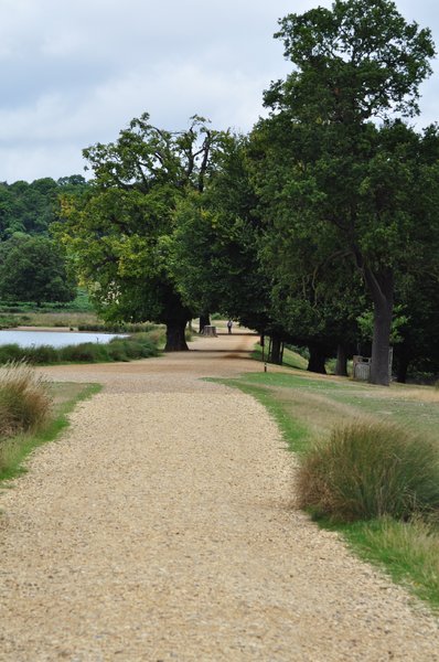 Path in Park