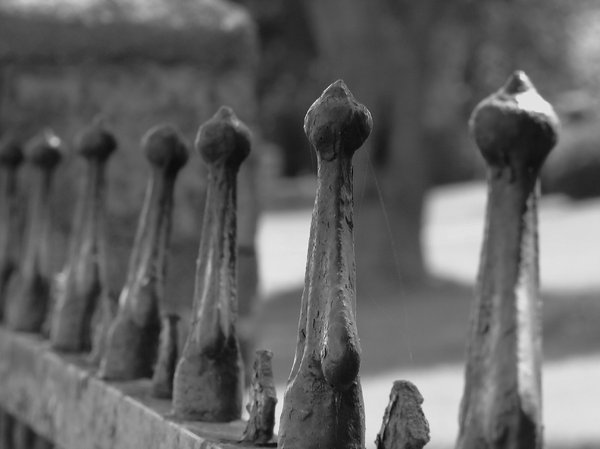  Old cemetery fence
