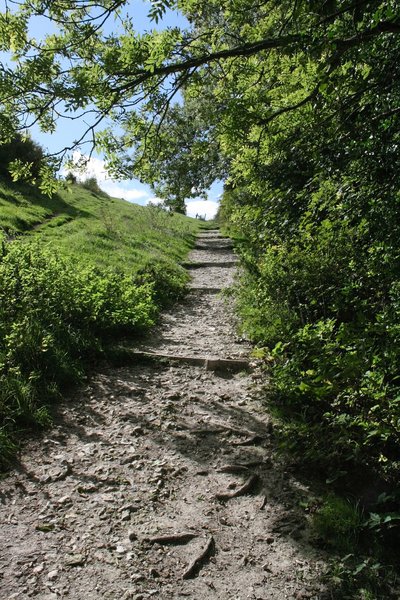 Chalky footpath