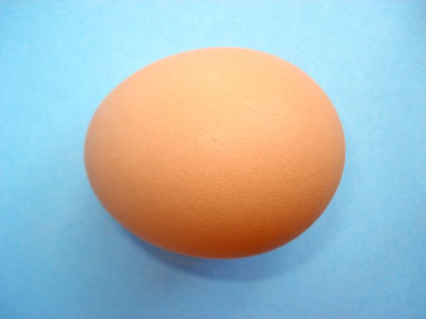 Chicken Eggs 5: 