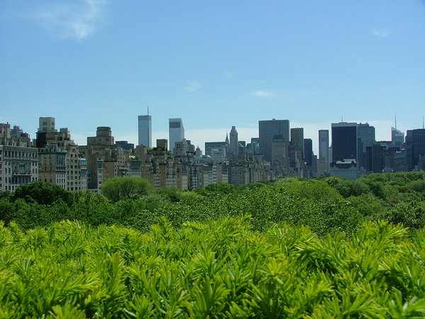 NYC Skyline: New York City skyline from the roof of the Metropolitan Museum of Art
