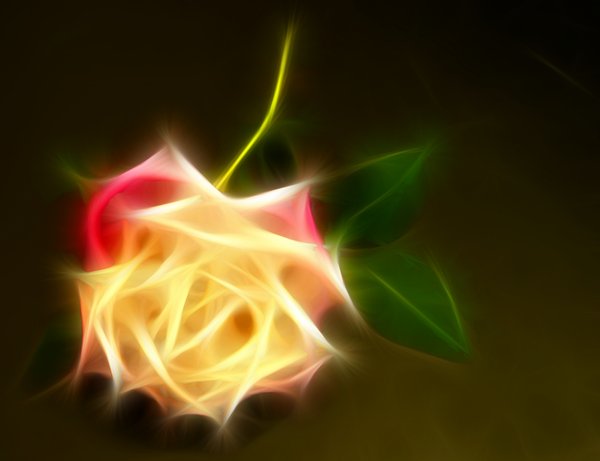 Abstract Rose 4