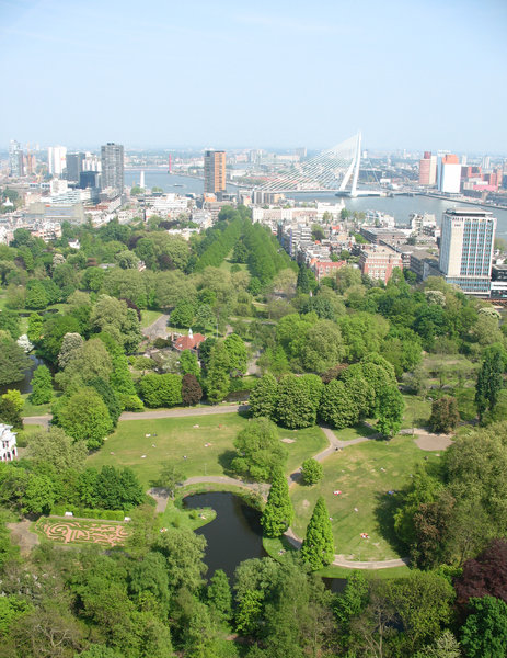A view on the city of Rotterda