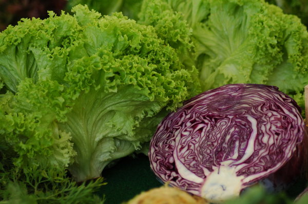 Salad & cabbage