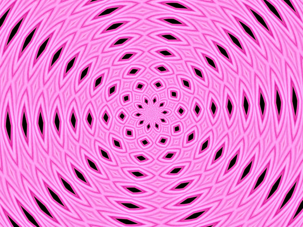 pink daisy circle