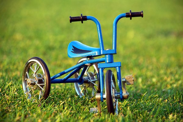 Tricycle on the grass 1