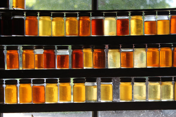 Colours of Maple syrup