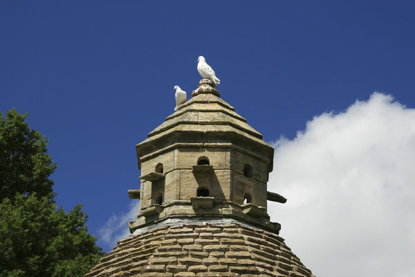 Pigeons on a dovecote