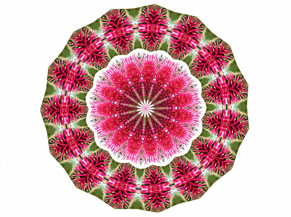flower filament mandala