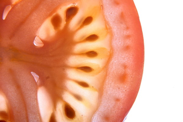 Tomato Slice Macro