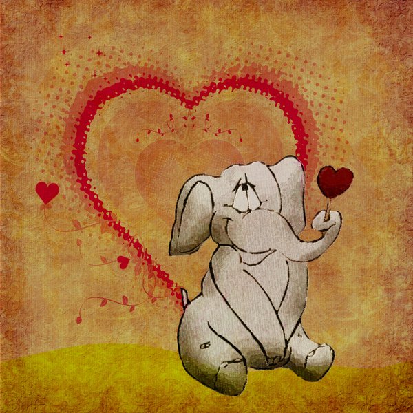 Elefante no amor: 