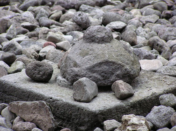 Turtle rocks