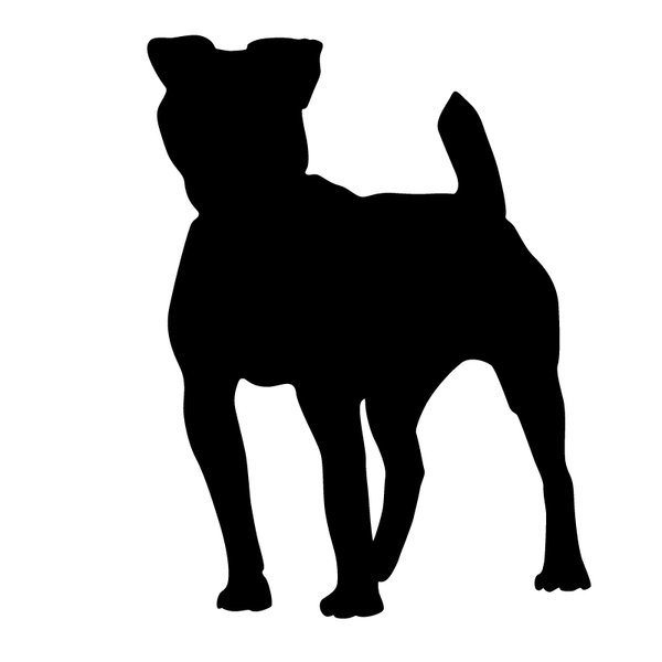 silhouette dog: Adobe Illustrator CS5