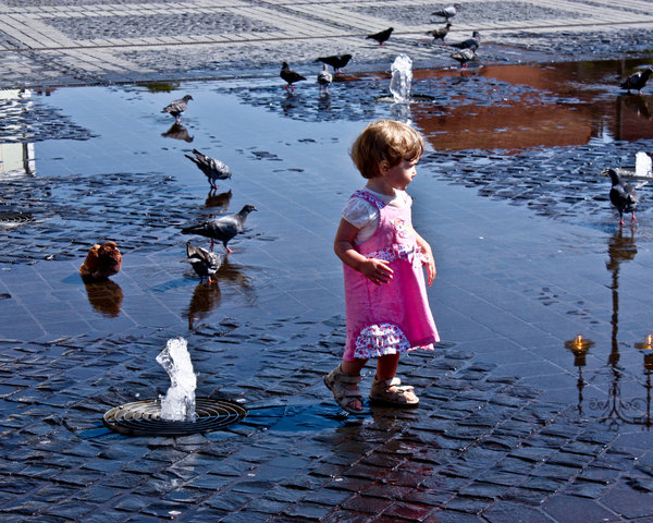 little girl with pigeons: little girl with pigeons