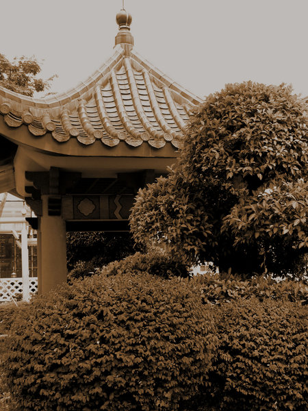 Chinese garden pavilion sepia