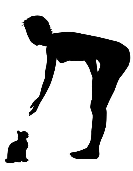Girl with a cat: A girl luring the cat.