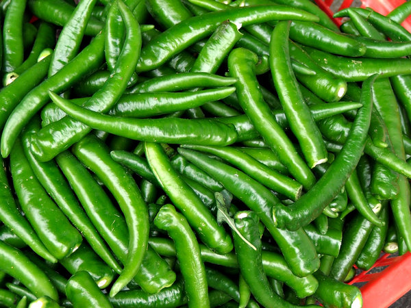 hot green chillies: a heap of hot green chillies ready for processing