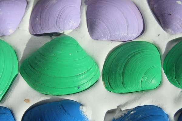 Coloured shells