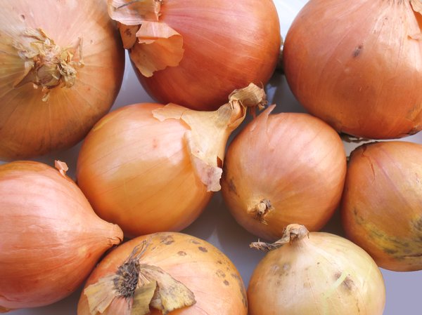 organic onions