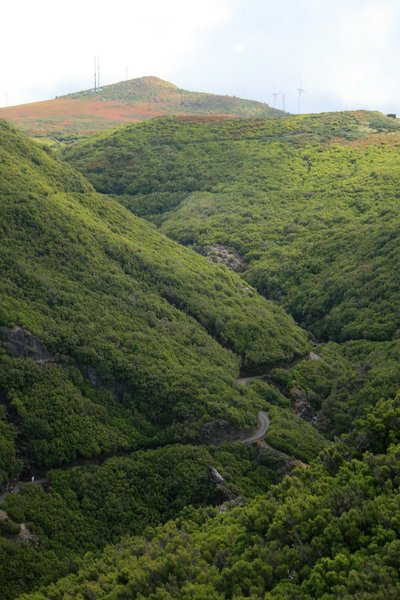 Road through a green valley