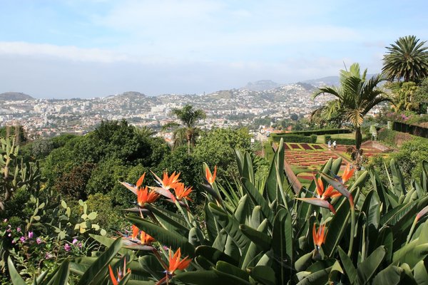 Gardens and city